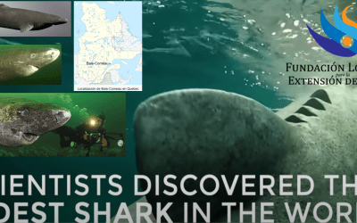 Descubriendo nuevos secretos antienvejecimiento del vertebrado más longevo del mundo