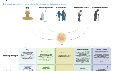 Estrategias para modelar el envejecimiento y las enfermedades relacionadas con la edad