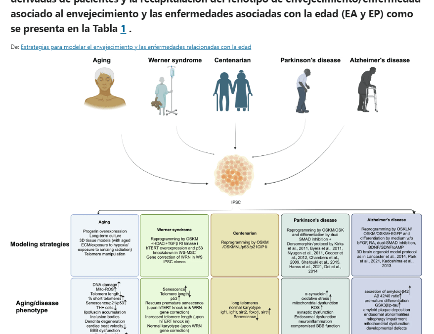 Estrategias para modelar el envejecimiento y las enfermedades relacionadas con la edad