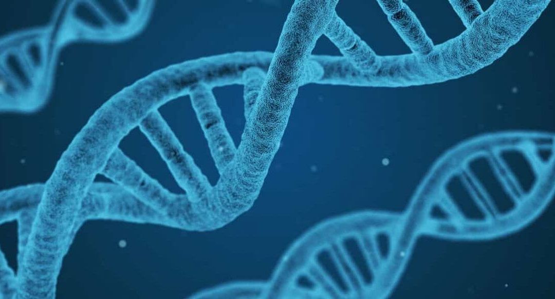 ¿Dónde acierta (y dónde no) una teoría antienvejecimiento?