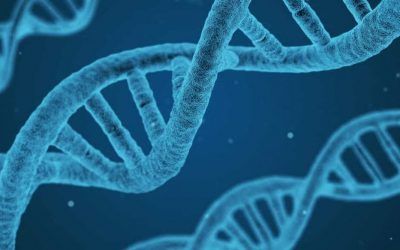 ¿Dónde acierta (y dónde no) una teoría antienvejecimiento?