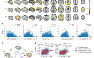 Un estudio identifica cinco formas distintas de envejecer gracias a los datos de casi 50.000 escáneres cerebrales