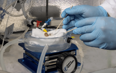 Un Futuro Sin Escasez de Órganos: La Criopreservación Como Solución Médica Revolucionaria