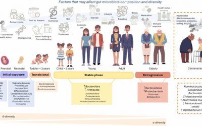 La microbiota intestinal: Clave para un envejecimiento saludable