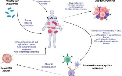 Longevidad Saludable: Innovación, Microbiota y Nuevas Terapias
