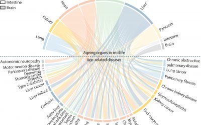 ¿Y si un análisis de sangre pudiera predecir el riesgo de sufrir enfermedades al envejecer?