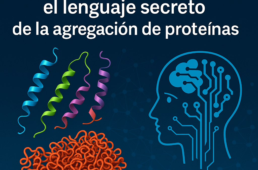 CANYA: la IA española que descifra el lenguaje de la agregación de proteínas y allana el camino a nuevos tratamientos