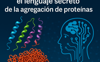 CANYA: la IA española que descifra el lenguaje de la agregación de proteínas y allana el camino a nuevos tratamientos