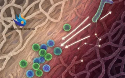 Descubierto el ‘GPS Mecánico’ del Cáncer y la Fibrosis: La Durotaxis es una Nueva Diana Terapéutica Clave para el Envejecimiento Saludable.